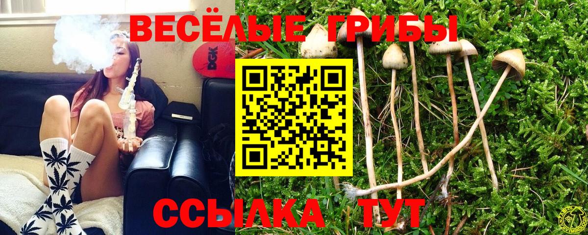 Псилоцибиновые грибы мухоморы  Псилоцибиновые грибы мухоморы  магазин    Вход с VPN  Камышлов 